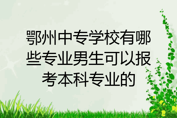 鄂州中专学校有哪些专业男生可以报考本科专业的