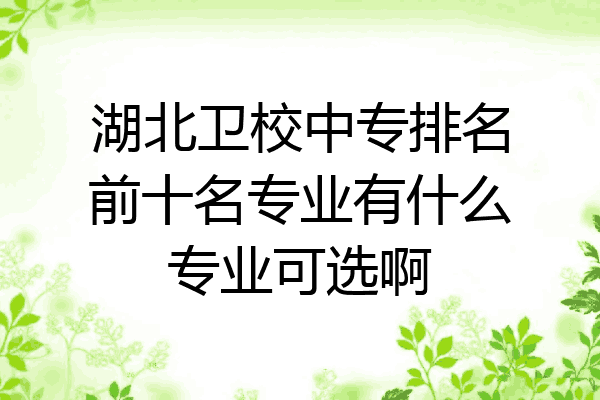 湖北卫校中专排名前十名专业有什么专业可选啊