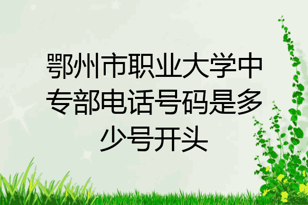 鄂州市职业大学中专部电话号码是多少号开头
