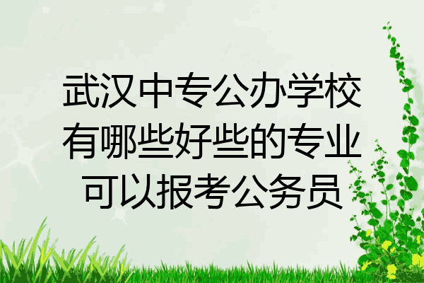 武汉中专公办学校有哪些好些的专业可以报考公务员