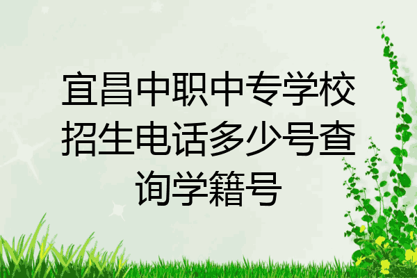 宜昌中职中专学校招生电话多少号查询学籍号