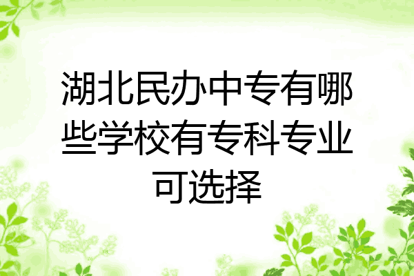 湖北民办中专有哪些学校有专科专业可选择