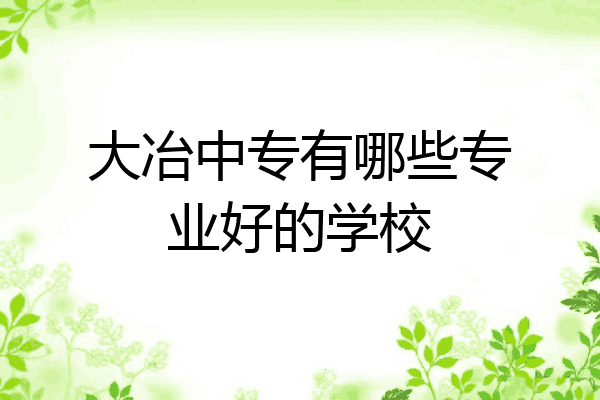大冶中专有哪些专业好的学校