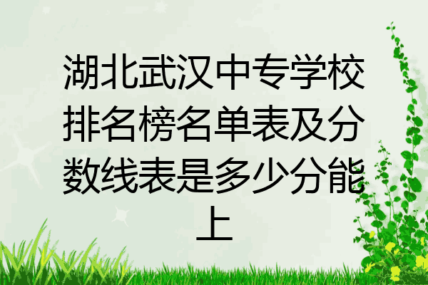 湖北武汉中专学校排名榜名单表及分数线表是多少分能上