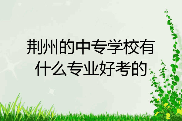 荆州的中专学校有什么专业好考的
