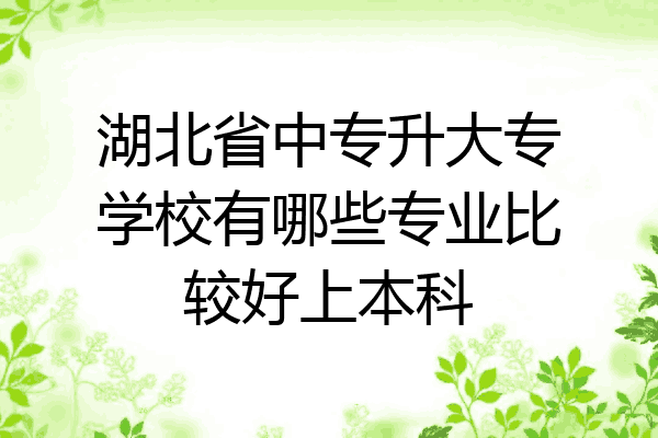 湖北省中专升大专学校有哪些专业比较好上本科