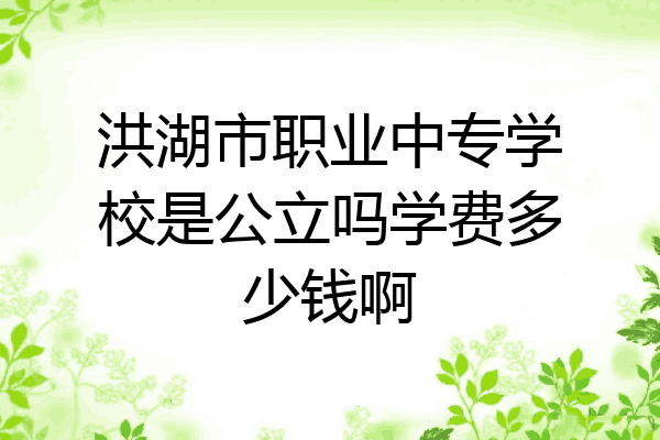 洪湖市职业中专学校是公立吗学费多少钱啊