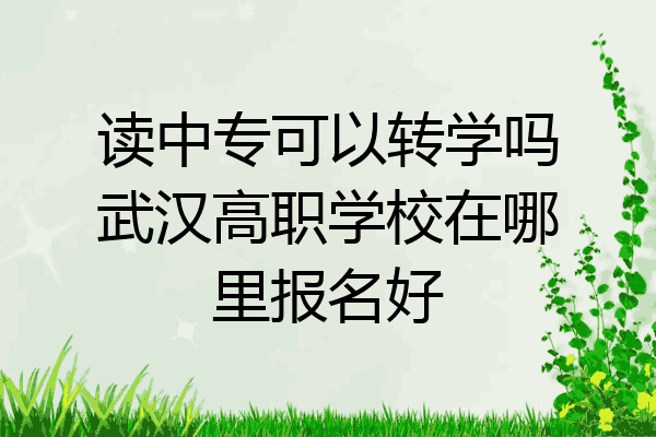 读中专可以转学吗武汉高职学校在哪里报名好