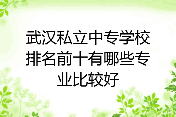 武汉私立中专学校排名前十有哪些专业比较好