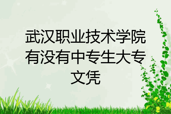 武汉职业技术学院有没有中专生大专文凭