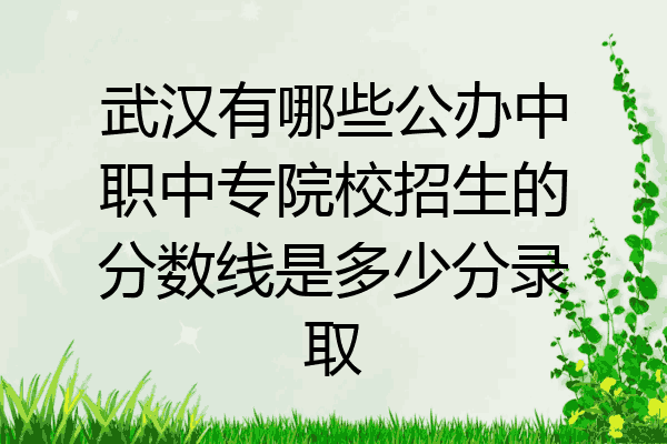 武汉有哪些公办中职中专院校招生的分数线是多少分录取
