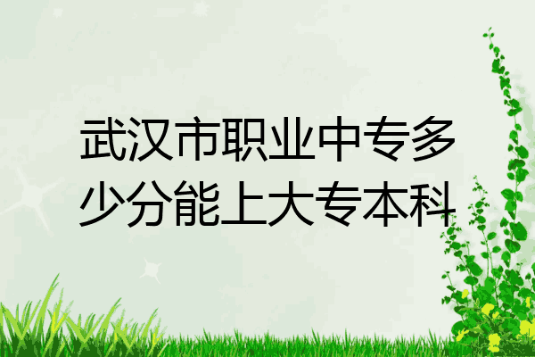 武汉市职业中专多少分能上大专本科