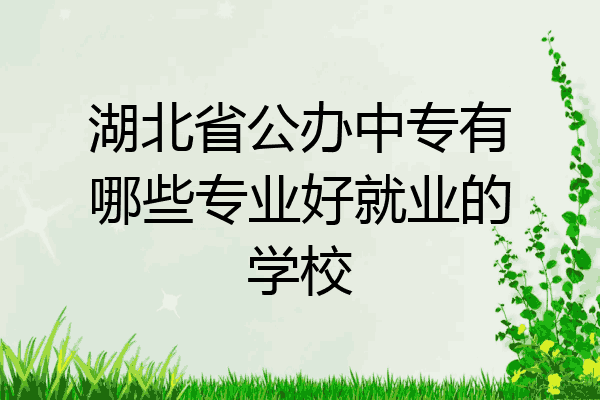 湖北省公办中专有哪些专业好就业的学校