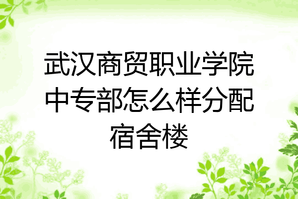 武汉商贸职业学院中专部怎么样分配宿舍楼