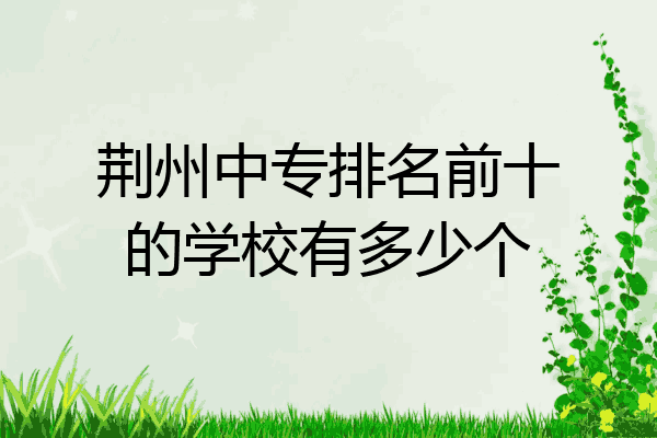 荆州中专排名前十的学校有多少个