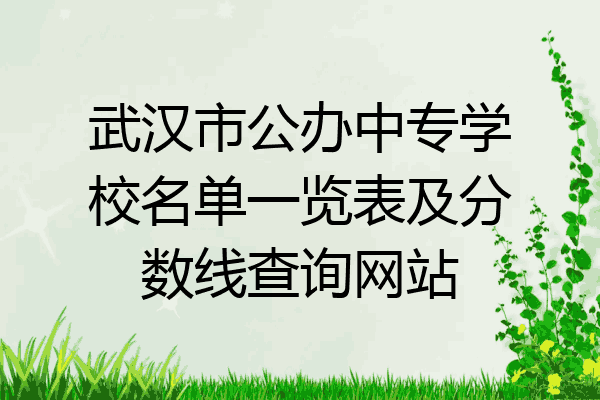 武汉市公办中专学校名单一览表及分数线查询网站