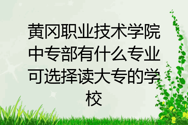 黄冈职业技术学院中专部有什么专业可选择读大专的学校