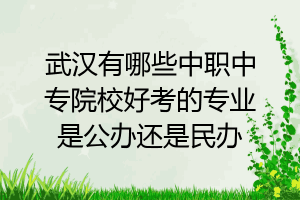 武汉有哪些中职中专院校好考的专业是公办还是民办
