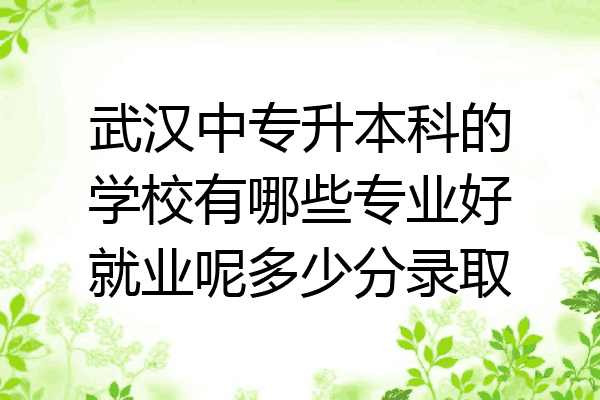 武汉中专升本科的学校有哪些专业好就业呢多少分录取