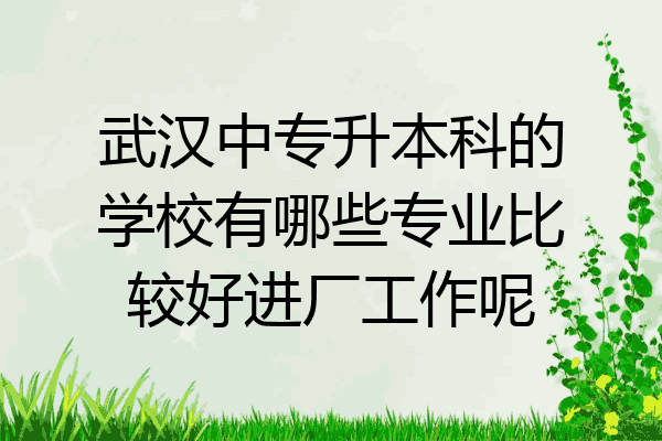 武汉中专升本科的学校有哪些专业比较好进厂工作呢