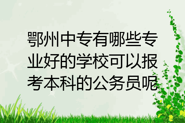 鄂州中专有哪些专业好的学校可以报考本科的公务员呢