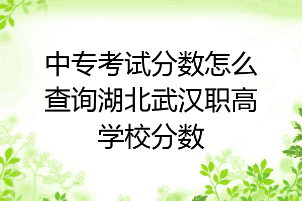 中专考试分数怎么查询湖北武汉职高学校分数