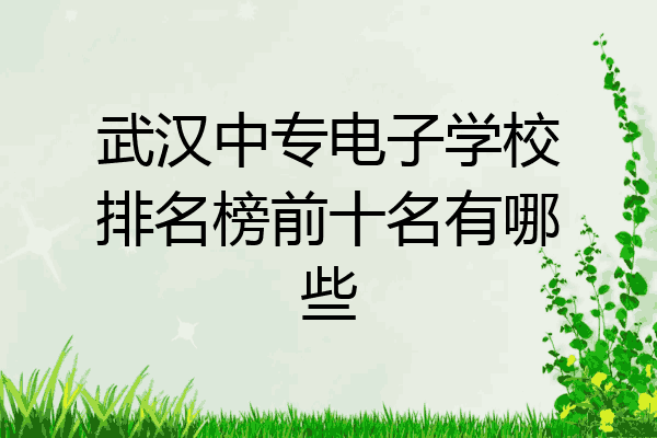 武汉中专电子学校排名榜前十名有哪些