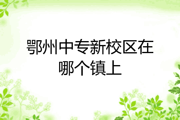 鄂州中专新校区在哪个镇上