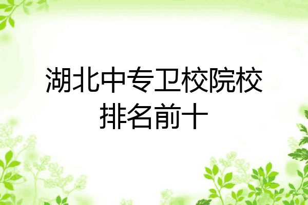 湖北中专卫校院校排名前十