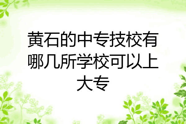 黄石的中专技校有哪几所学校可以上大专