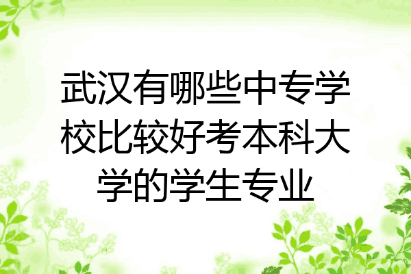 武汉有哪些中专学校比较好考本科大学的学生专业