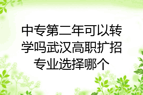 中专第二年可以转学吗武汉高职扩招专业选择哪个