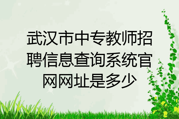 武汉市中专教师招聘信息查询系统官网网址是多少