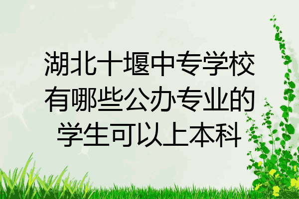 湖北十堰中专学校有哪些公办专业的学生可以上本科