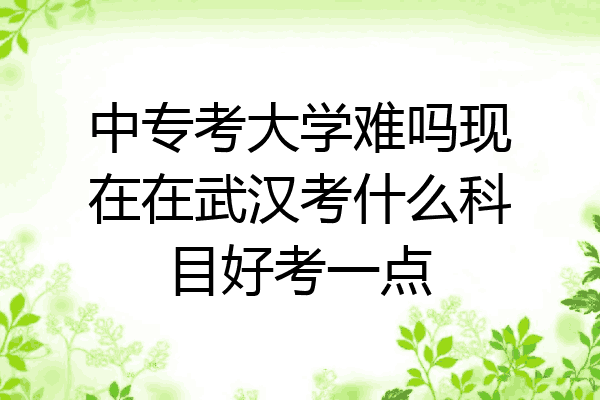 中专考大学难吗现在在武汉考什么科目好考一点