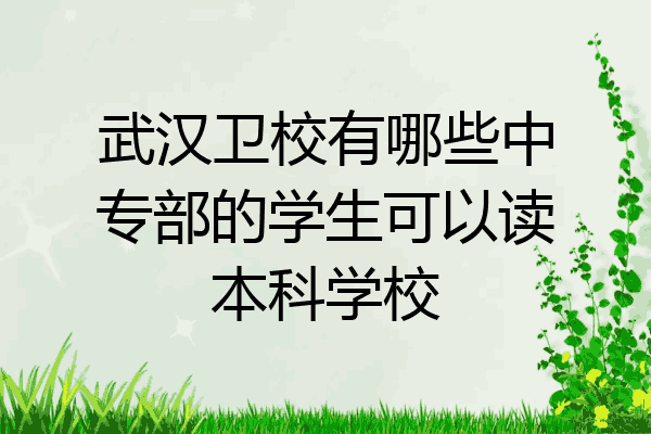 武汉卫校有哪些中专部的学生可以读本科学校