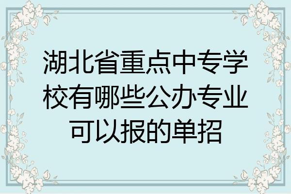 湖北省重点中专学校有哪些公办专业可以报的单招