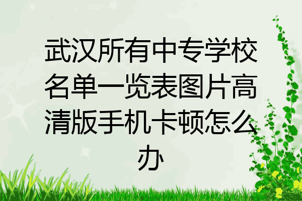 武汉所有中专学校名单一览表图片高清版手机卡顿怎么办
