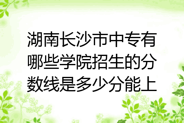 湖南长沙市中专有哪些学院招生的分数线是多少分能上