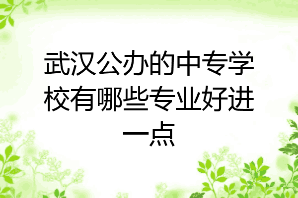 武汉公办的中专学校有哪些专业好进一点
