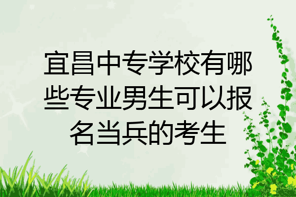 宜昌中专学校有哪些专业男生可以报名当兵的考生