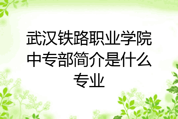 武汉铁路职业学院中专部简介是什么专业