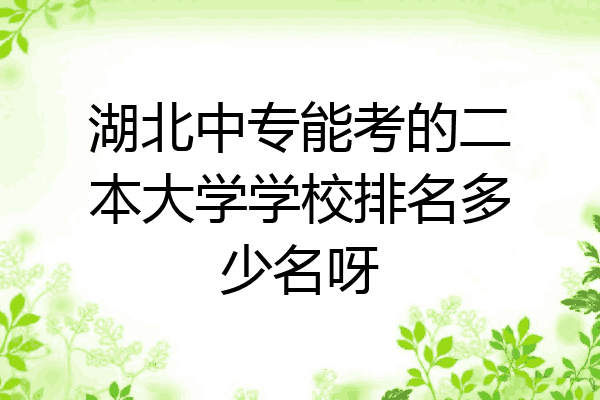 湖北中专能考的二本大学学校排名多少名呀