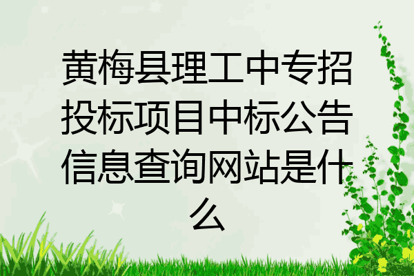 黄梅县理工中专招投标项目中标公告信息查询网站是什么