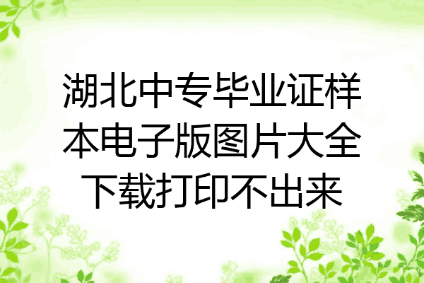 湖北中专毕业证样本电子版图片大全下载打印不出来