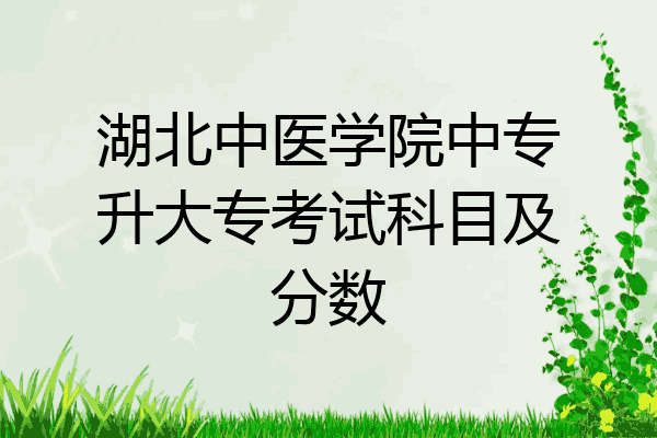 湖北中医学院中专升大专考试科目及分数