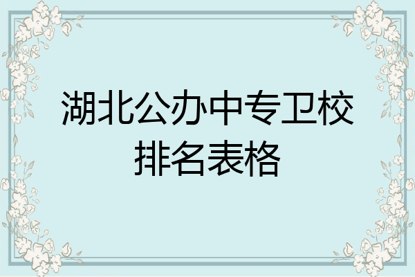 湖北公办中专卫校排名表格