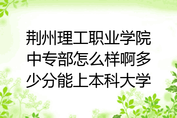 荆州理工职业学院中专部怎么样啊多少分能上本科大学