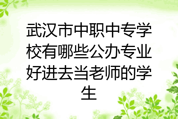 武汉市中职中专学校有哪些公办专业好进去当老师的学生