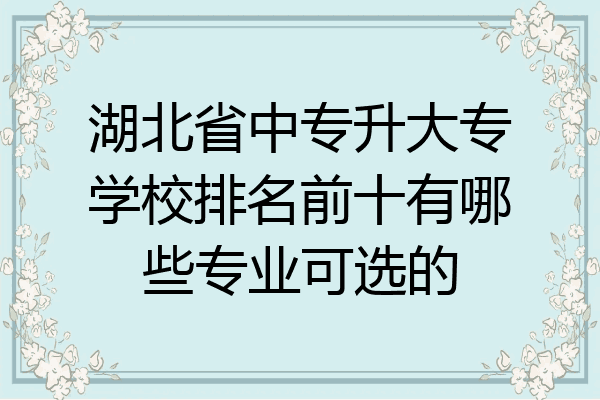 湖北省中专升大专学校排名前十有哪些专业可选的